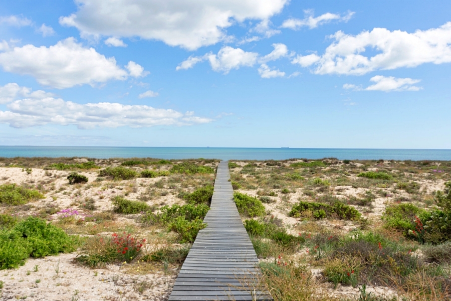 3 Bedroom Property for Sale in Atlantic Shores Beachfront Estate Western Cape